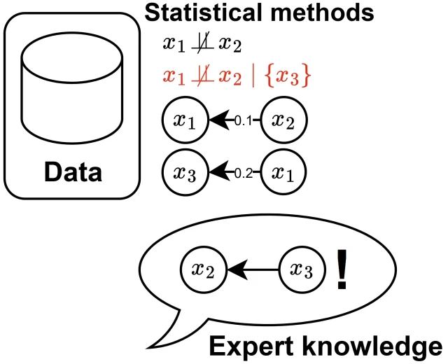 Data, statistical constraints and an expert causal judgement